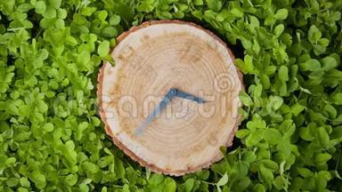 把手放在树桩上。 <strong>CG动画</strong>。 生态和环境问题的概念，毁林。 无缝环路